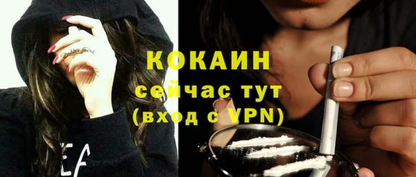 твердый Михайлов