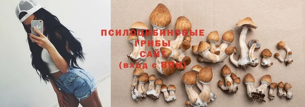 винт Михайловск