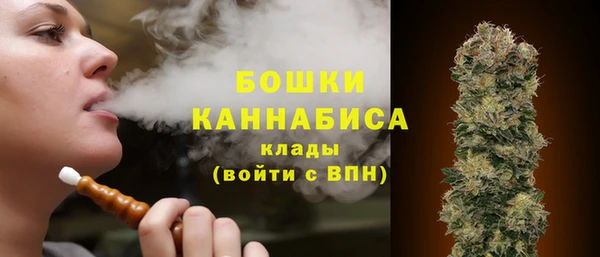 твердый Михайлов