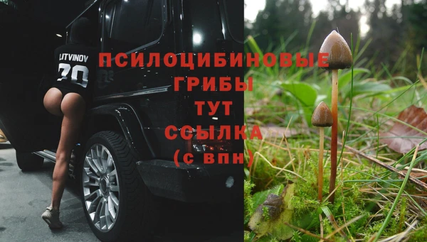 spice Бежецк